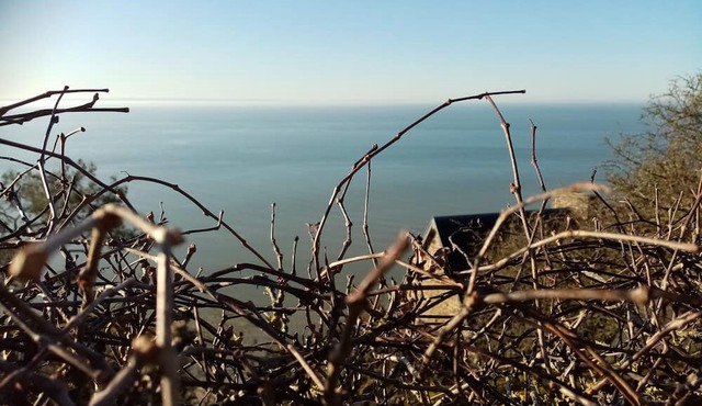 La Campagne au Bord de la Mer. Une Chambre Chez L'habitant et ses Animaux