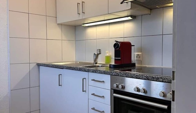 Gemütliches Apartment mit Einem Schlafzimmer in Zürich Höngg