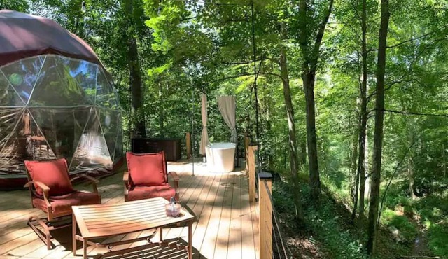 Wildwood-Magical dome home in the forest!