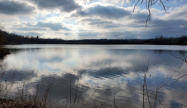 Quite private lake front property