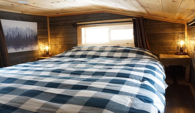 Tiny Cabin, Cozy in the Mountains - Pine Grove, Colorado