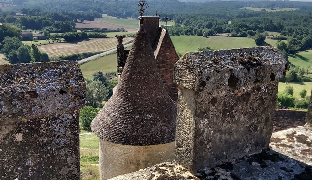 Logement de Charme Refait à Neuf Avec Piscine et Climatisation