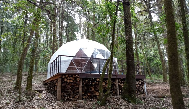Glamping Don Delfis
