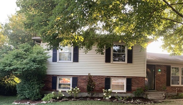 Professional Serenity Suites Louisville