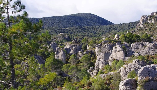 Apartment With Garden And View