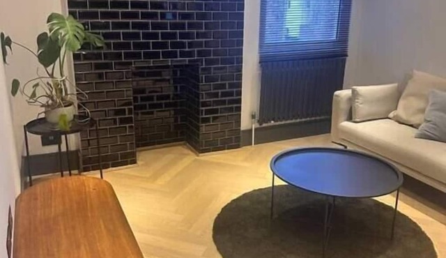 Beautiful 3BD Designer Apartment