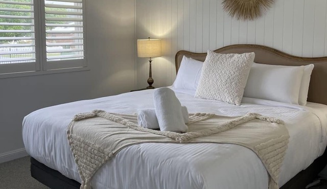 The Albion - Light & Cosy