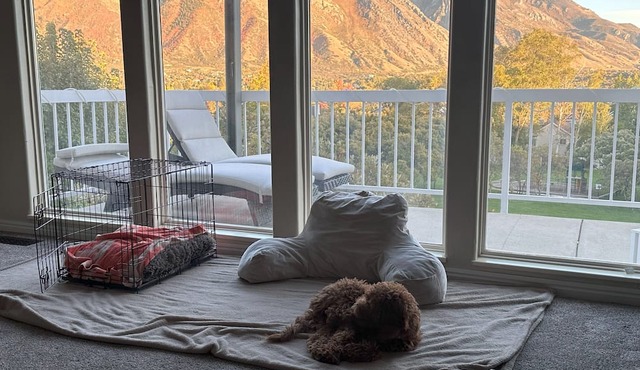 Stunning mountain and valley views this Alpine home is conveniently located.