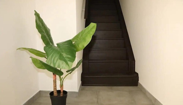 Suite Cosy, Ô Bon Temps