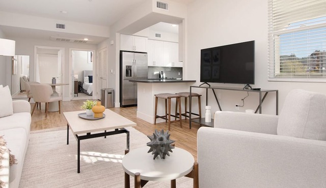 Modern Apartment in Prime Location (ID8634X17)