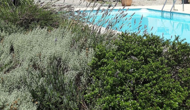 Charantaise Avec Piscine et Parc, 7 Minutes de Saintes, 25 Minutes de Royan