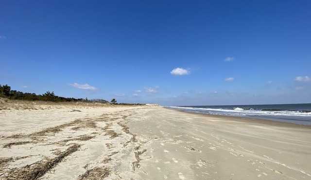 Detached in law suite. Murphy bed, close to the hospital, 20 mins from the beach