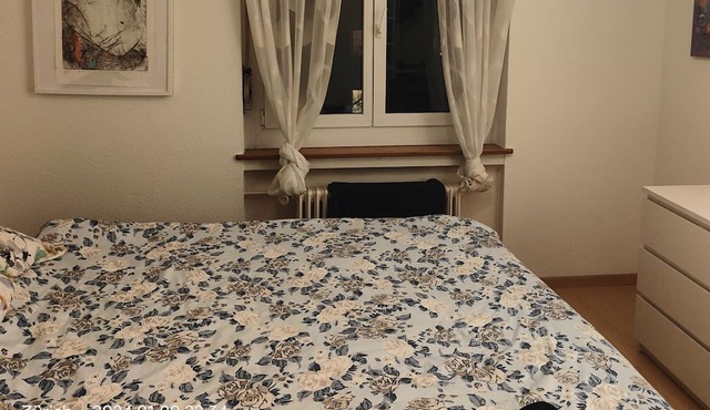 Zurich 2 bedroom with balcony