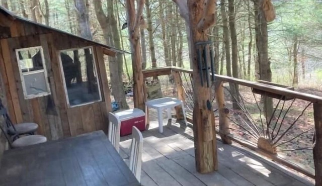 Cozy, rustic off grid cabin on 15 acres. Pet friendly! No cleaning or pet fees!!