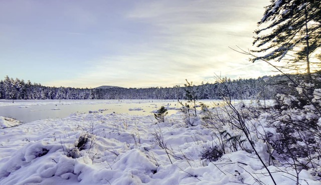 Cozy Conway Retreat Near Skiing + Hiking Trails!