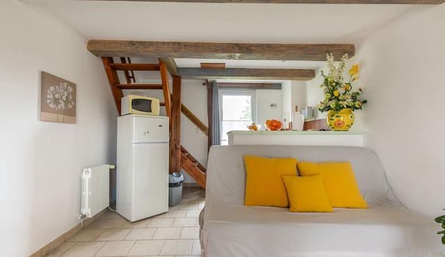 Nigaudière estate: Le Joncs - Beauval & Castle