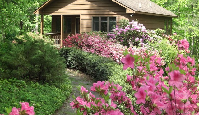 Creek House