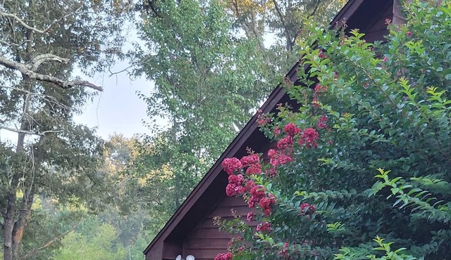 Country Tri-Level Home in Selmer TN -2000 sqft