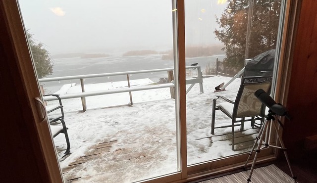 Kawartha Lakeside Haven. Cozy waterfront cottage, pet friendly retreat