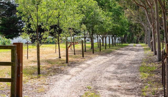 The Dairy Cottage - Located in the heart of the stunning Mornington Peninsula