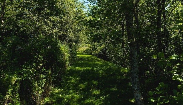 Royd Cottage West Down
