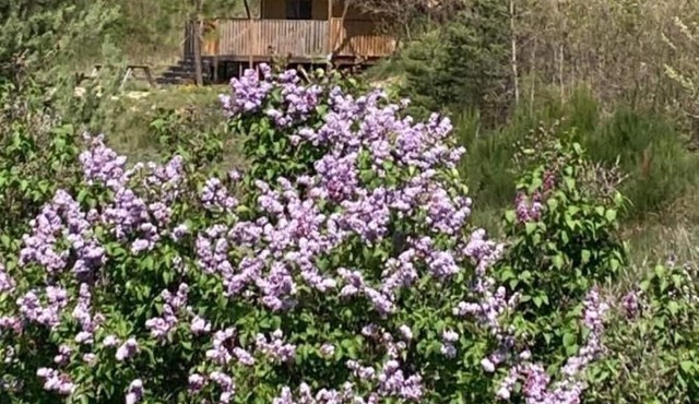 Glamping tent3: wild-life feeling with Provence touch 3 bedrooms (max. 6 guests)