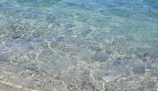 Nouveau Appartement Très Confortable Pour 4 Personnes. Animaux Autorisés