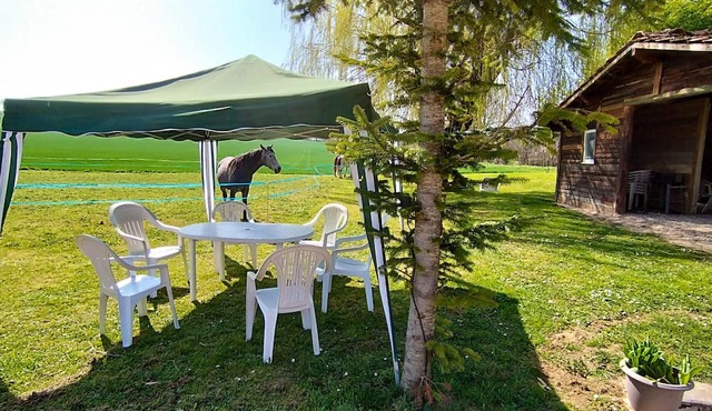 Homerez - Big mansion for 12 ppl. with terrace and balcony at Mancey