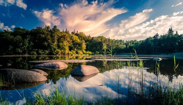 Cottage Familial : Les Vignes