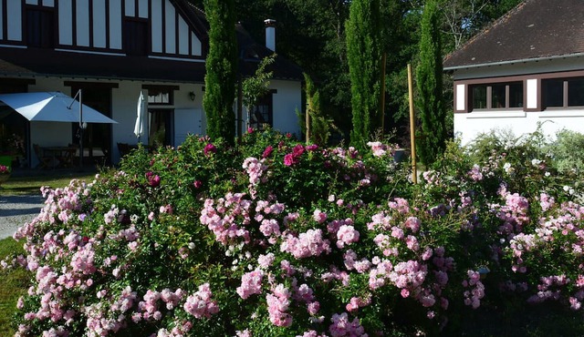 Guestroom Ligny-le-Ribault, studio flat, 2 persons