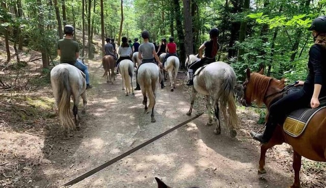 La Villa Hortensia - spacious and bright