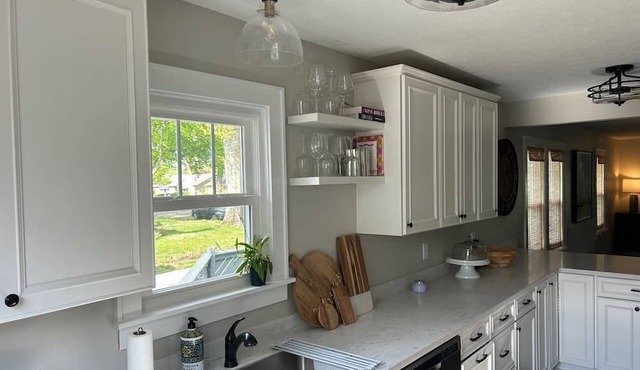 Tempur Pedic Heart of Columbus XL Big Green EGG