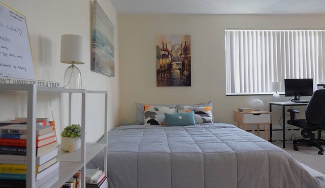 Cozy Cambridge Studio