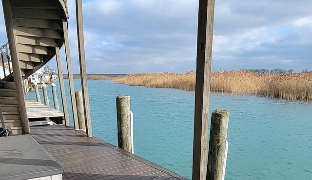 Lake St. Clair Canal Cottage. Fishing, views, dockage, and more!