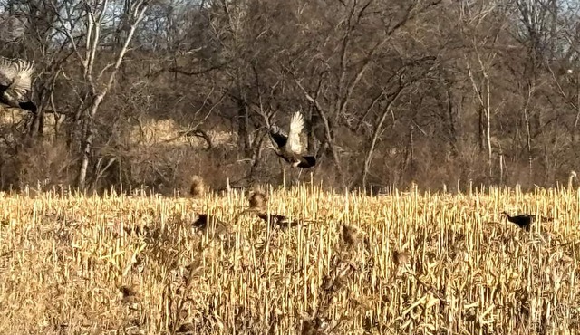 250+ Acre Private Hunting/Fishing Lodge - 5 minutes to city