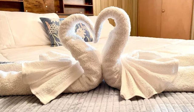 NEW - 5 mins from Elmhurst Uni - Elmhurst Hospital - Pet Friendly