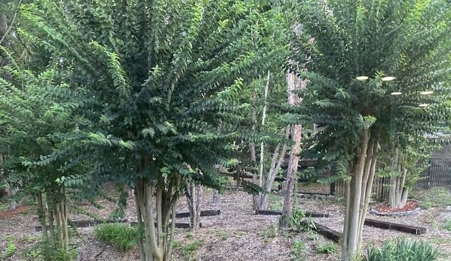 Fantastic location. This home beats any hotel. Easy check-in and check-out …