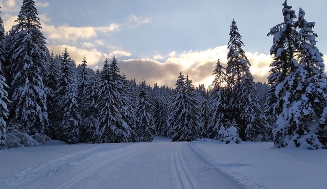 Apartment at the foot of the ski slopes