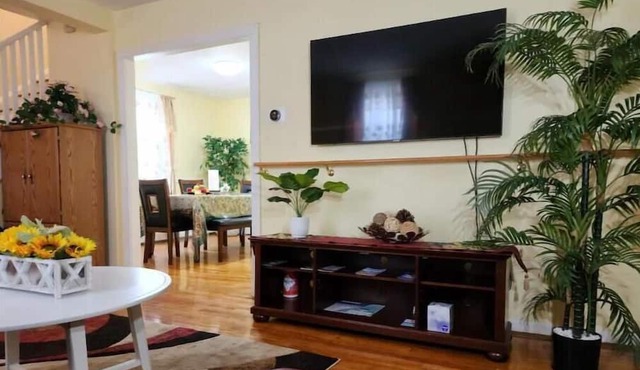 Comfortable Yellow House