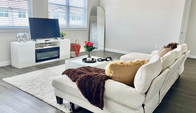 Luxury Apartment Near NRG Stadium!