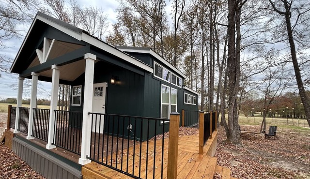 Tiny home nestled in the woods