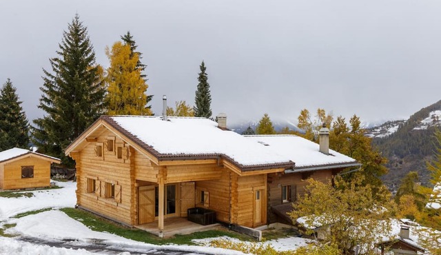Rosaline - Large and cosy Swiss Chalet with beautiful views