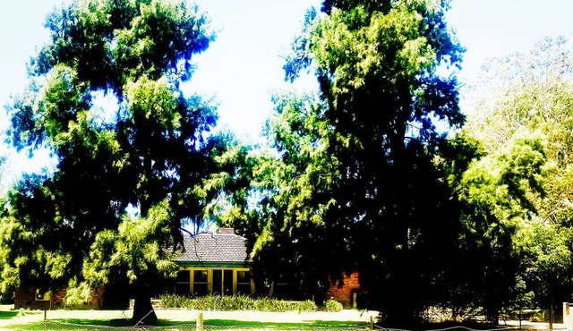 Idyllic, farming property, hidden amongst towering gumtrees and golden pastures.