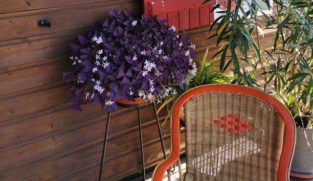 Chalet au Calme, 5 Minutes des Gorges de la Dordogne, Randonnée, Pêche, Piscine