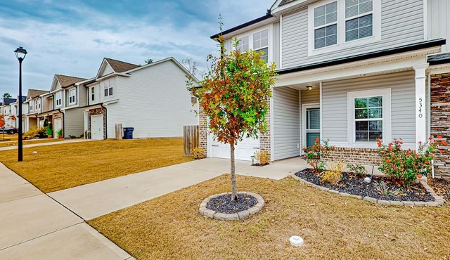 Peaceful dog-friendly home with open layout, enclosed yard, high ceilings, & W/D