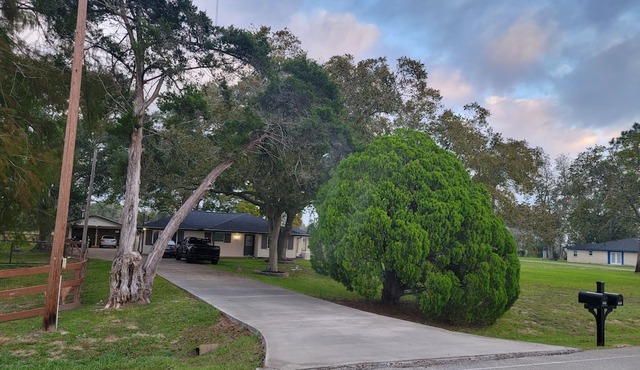 A peaceful guesthouse that is close to everything but feels miles away!