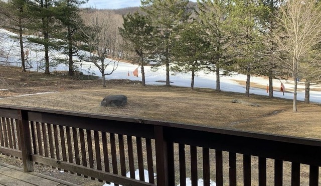 Bromley Mountain VT - Ski in Ski Out, Bromley Village trail side.