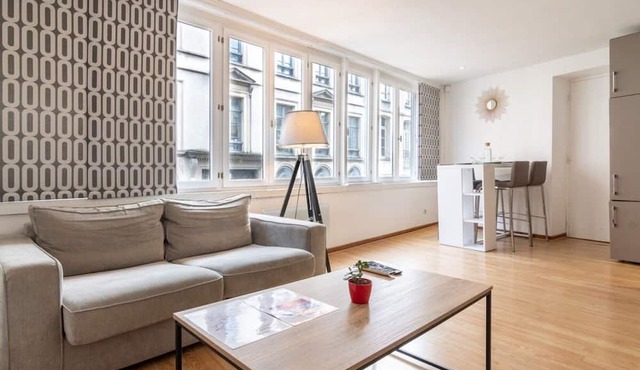 Vieux Lille one bedroom apartment