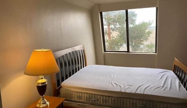 One Bedroom Executive Condo Close to UNR and TMCC