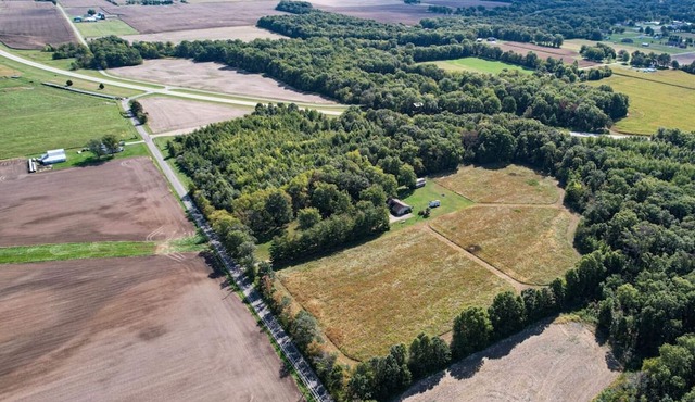 Stay and Hunt on 25 acres